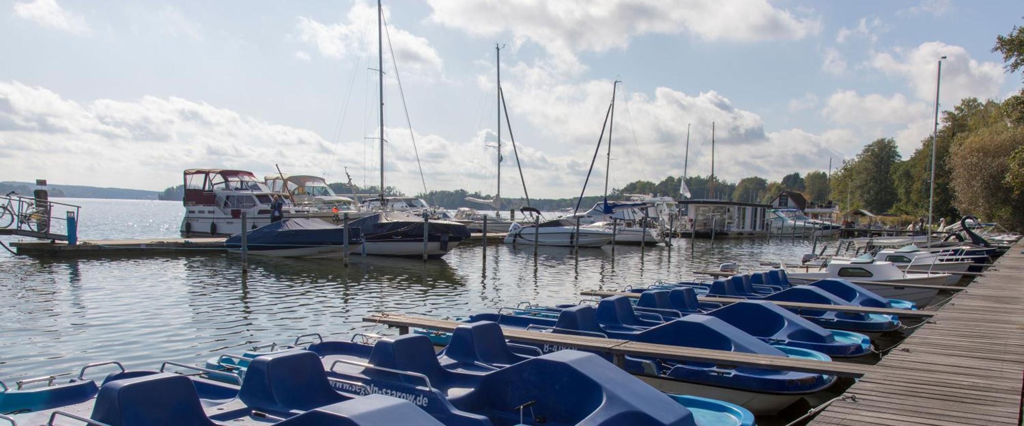 S2 Fewo In Bad Saarow, Seestr 2 Bagian luar foto